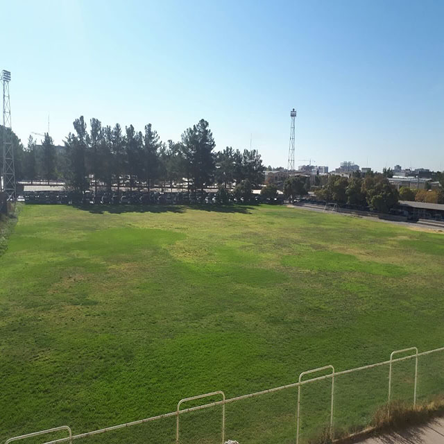 زمین چمن برق کرمان